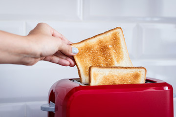 Red toaster with toasted bread for breakfast inside. Hands Girl pulls out ready toasts. - 183708326