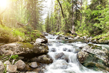 The rays of the sun make their way through thick foliage. Mountain river Zhigalan. North Ural