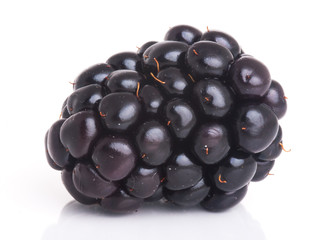 blackberry isolated on a white background