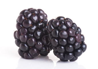 blackberry isolated on a white background