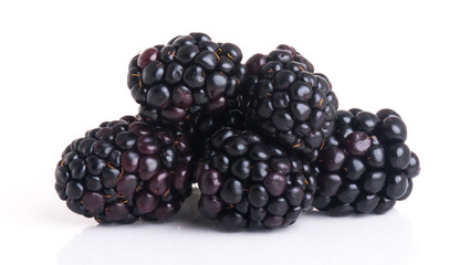 blackberry isolated on a white background
