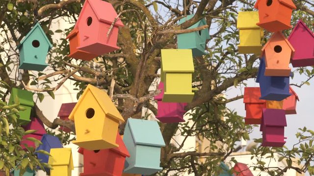 Colourful Wooden Bird Houses On the tree. Illustrate housing problem and mortgage loan