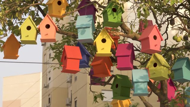 Colourful Wooden Bird Houses On the tree. Illustrate housing problem and mortgage loan