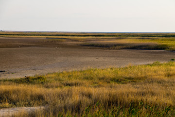 Fototapeta premium View on the Sivash lake, Ukraine