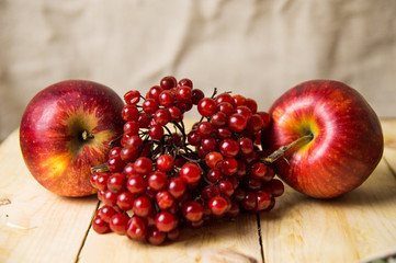 Two apples and a viburnum on a wooden table