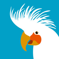 bird cockatoo  head vector illustration flat style profile
