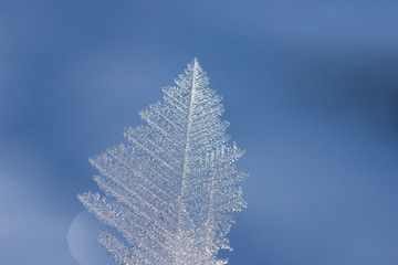 wunderschöner Eiskristall - Makro auf blauem Hintergrund