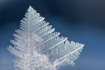 Wunderschöner Eiskristall in Christbaumform, Detailaufnahme