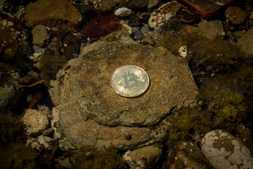 Lost Bitcoin In Rock Pool Reflects Sun From Underwater 