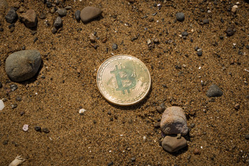 Bitcoin On Wet Sand In Afternoon Sun 