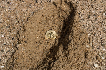 Bitcoin Found Digging In Sand, Buried Treasure 