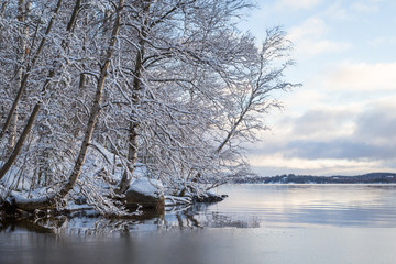 Beautiful view of snowy trees and Lake Pyhäjärvi in the winter in Tampere, Finland.