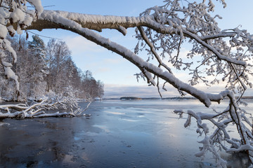 Fototapeta na wymiar Beautiful view of snowy trees and frozen Lake Pyhäjärvi in the winter in Tampere, Finland.
