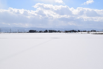 Fototapeta na wymiar 北国の雪景色