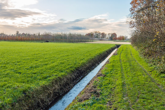 Dutch polder landscape with a diagonal ditch