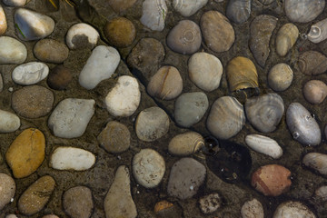 background of stones under transparent water