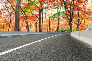Asphalt road and colorful maple forest in autumn