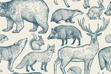 Fototapeta Seamless pattern with animals. obraz