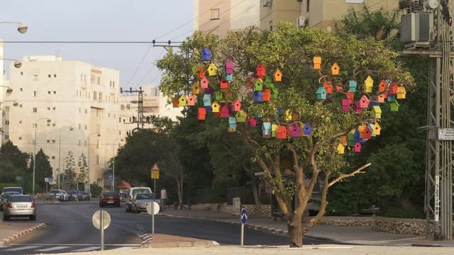 A Lemon tree with Colourful Wooden Bird Houses. Illustrate housing problem and mortgage loan