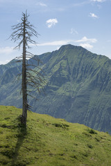 Landschaft beim Neuhornbachhaus, Österreich, Bregenzerwald