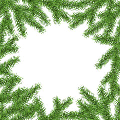 White Christmas background with spruce branch.