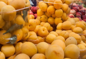 Naklejka na ściany i meble Orange apricots for sale at city market. Jerusalem. Israel