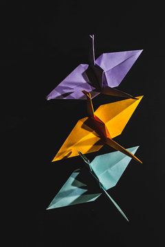 Cranes origami composed of paper of different colors. Cranes are made in origami technique on a dark background. Cranes of origami, lined up on the right side.