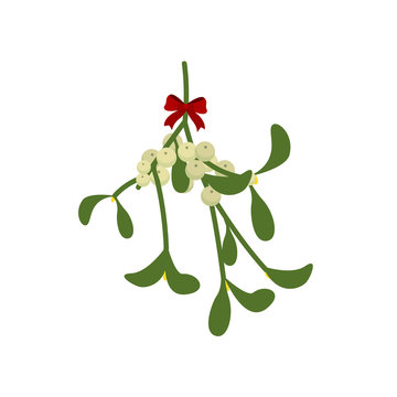 Christmas branch. Misletoe. Vector illustration