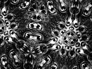 Black and white kaleidoscope feather texture. Abstract vector background. Monochrome grunge mosaic pattern.