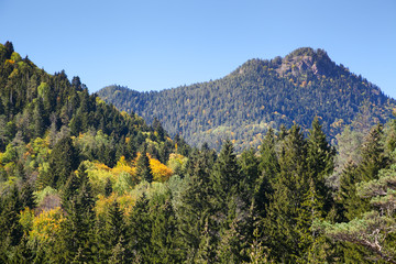 forest valley on a huge hill in the fall with blue sky