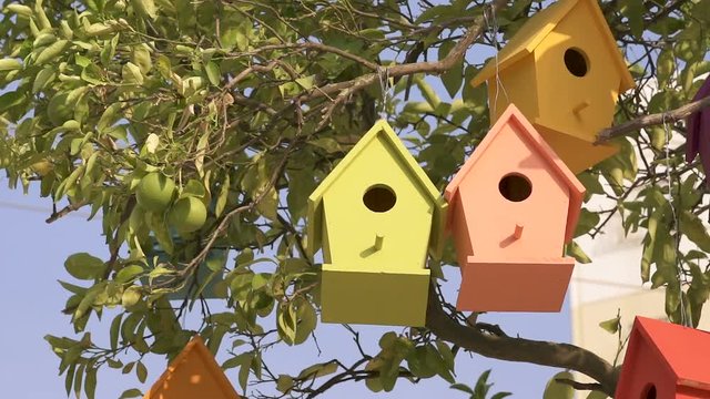 Colourful Wooden Bird Houses On the tree. Illustrate housing problem and mortgage loan
