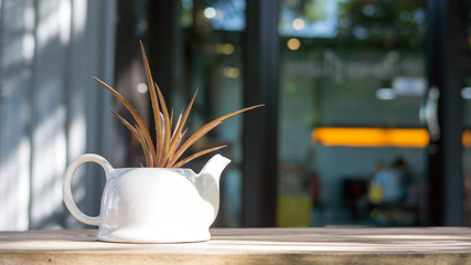 decking and plant with small garden decoration.