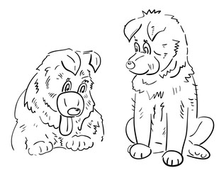Two Caucasian Shepherd young dogs, fun, cute puppies, oriental symbol of New Year. Hand draw sketch, line art, outline on white background, vector illustration