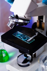  scientists in the chemical laboratory