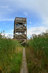 Wildlife wooden observation point