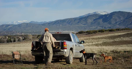 Rolgordijnen Man at the bed of his truck with a German Shorthair Pointer dog and a Vizsla puppy in a field for bird hunting © everydoghasastory
