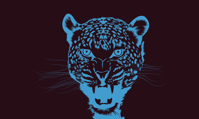 Jaguar Portrait © MDennZa
