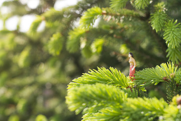 Miniature figures talking on the tree