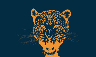 Jaguar Orange Portrait