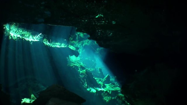 Yucatán caves of cenotes underwater in Mexico. Scuba diving in clean and clear underground water in reflection sunlight.