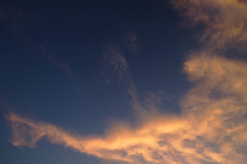 Sunset sky with the beautiful cloudscape that looks like big bird flying or horsehead nebula