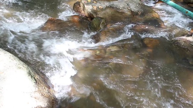 Clean fresh water of a forest.Small mountain river.Water in mountains.River in forest in winter.National park.Teen Tok Royal Project Development Center.Chiang Mai.Thailand
