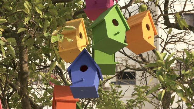 Colourful Wooden Bird Houses On the tree. Illustrate housing problem and mortgage loan