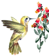 Flying hummingbird with flower