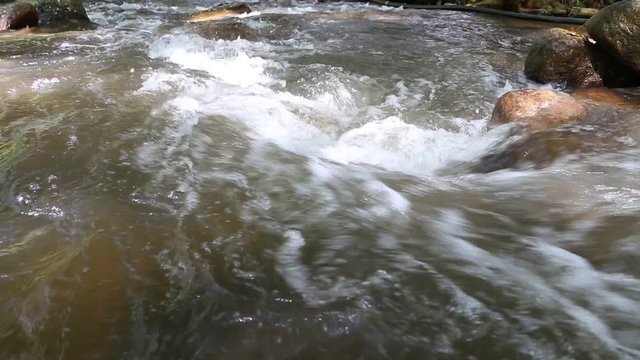 Clean fresh water of a forest.Small mountain river.Water in mountains.River in forest in winter.National park.Teen Tok Royal Project Development Center.Chiang Mai.Thailand
