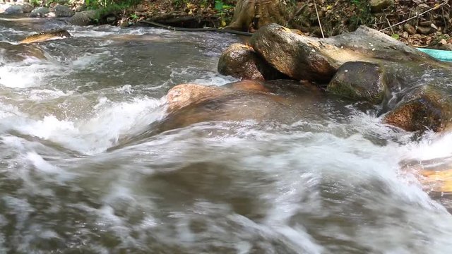 Clean fresh water of a forest.Small mountain river.Water in mountains.River in forest in winter.National park.Teen Tok Royal Project Development Center.Chiang Mai.Thailand
