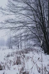 Foto auf Leinwand Winter landscape with trees © Kseniya Lokotko