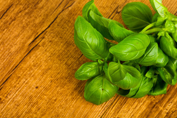 Basil