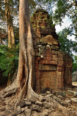 Ta Prohm temple, Angkor Wat, Cambodia