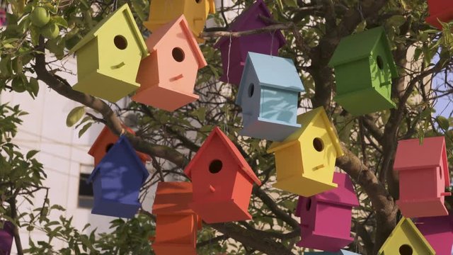 Colourful Wooden Bird Houses On the tree. Illustrate housing problem and mortgage loan